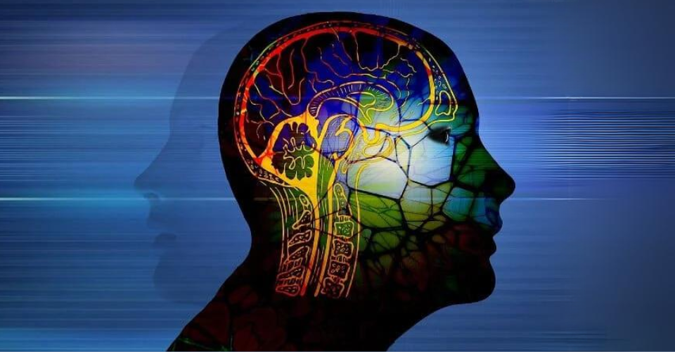 Fresh Ideas About ADHD and Autism: Individual Brain Profiles Revealed  